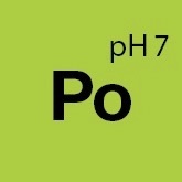 Solutie curatare textile, piele si alcantara Koch Chemie Pol Star, Po, 1L