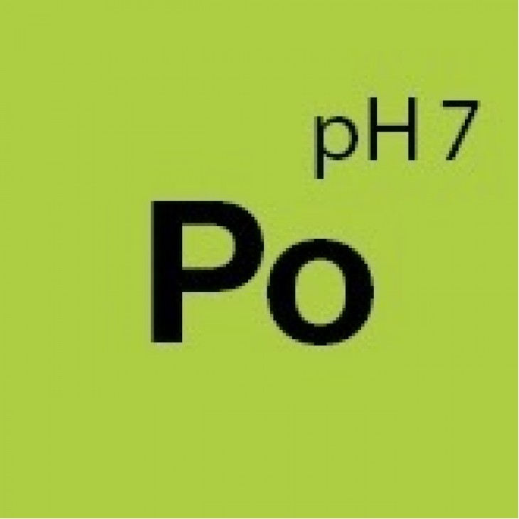 Solutie curatare textile, piele si alcantara Koch Chemie Pol Star, Po, 1L - 92001 - KOCH CHEMIE