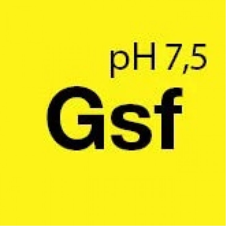 Spuma auto prespalare pH neutru Gsf Gentle Snow Foam Koch Chemie, 5L - 383005 - KOCH CHEMIE