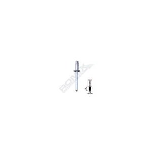 Popnit zincat fiat renault ford 4.8mm set 10 buc, ROMIX