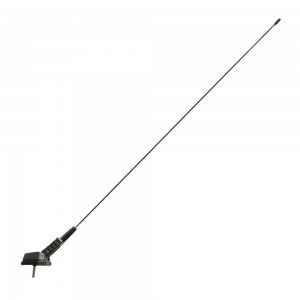 Antena auto pavilion