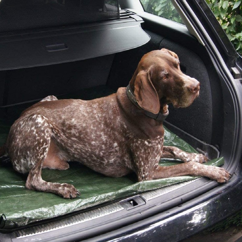 Prelata Impermeabila cu ochiuri metalice de prindere, dimensiune 6,0m x 8,0m, densitate 120g/m2, culoare verde - AVX-T120721-4 - AVEX