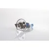 Set becuri cu halogen H1 12V 55W LumiTec LIMITED + 130% DUO BOX, AMIO