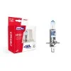 Set becuri cu halogen H1 12V 55W LumiTec LIMITED + 130% DUO BOX, AMIO