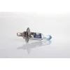 Set becuri cu halogen H1 12V 55W LumiTec LIMITED + 130% DUO BOX, AMIO