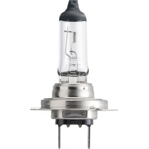 H7 Master Duty 24V 70W Philips (Cutie)
