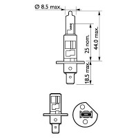 Bec Far H1 55W 12V Vision (Blister) Philips